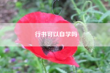 行书与楷书的区别与联系