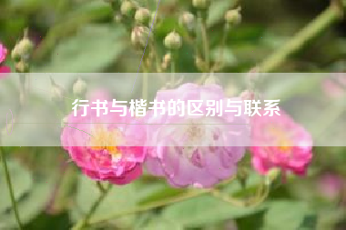 复姓有哪些