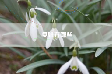 中国传统文化八大类