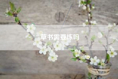 草书需要练吗