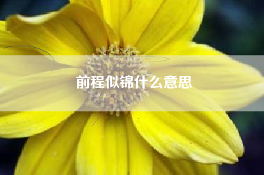 前程似锦什么意思