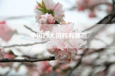 中国四大国粹有哪些