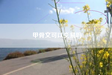 甲骨文可以交易吗