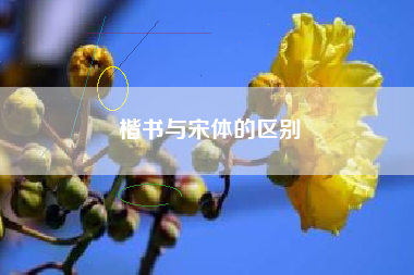 楷书与宋体的区别