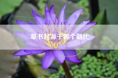 金文一般指篆刻在哪种材料上