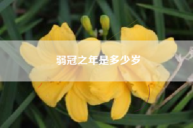 篆书是什么意思