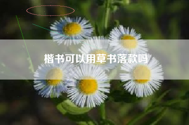 楷书可以用草书落款吗