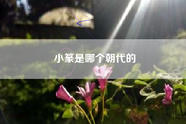 小篆是哪个朝代的