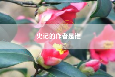 史记的作者是谁
