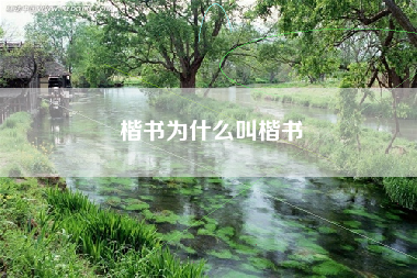 楷书为什么叫楷书