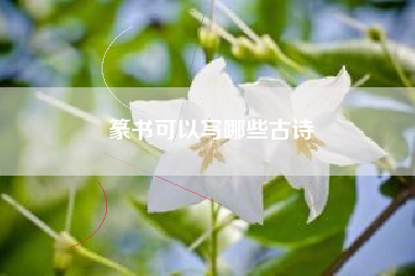 篆书可以写哪些古诗