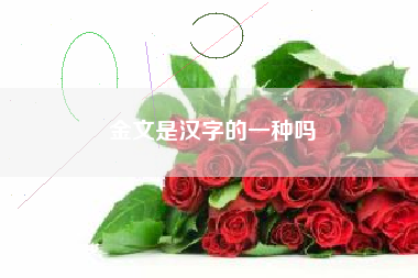 金文是汉字的一种吗