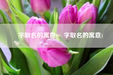 宬字取名的寓意(璟字取名的寓意)