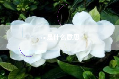nq是什么意思