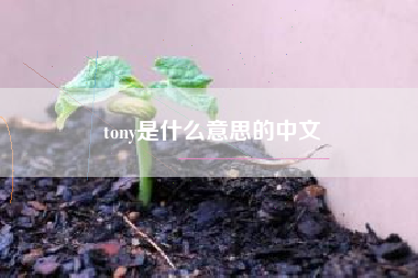 tony是什么意思的中文