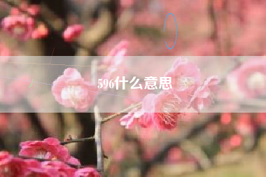 596什么意思