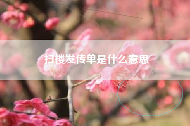 扫楼发传单是什么意思