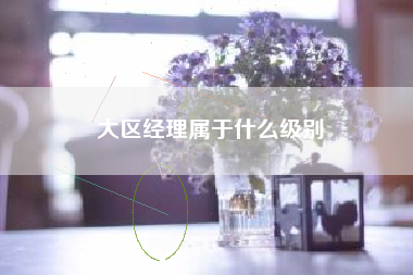 大区经理属于什么级别