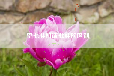 望批准和请批准的区别