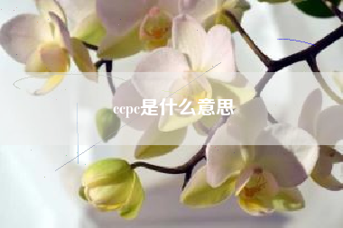 ccpc是什么意思