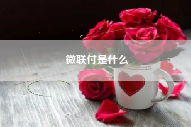 微联付是什么