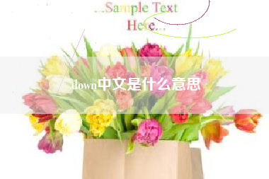 down中文是什么意思