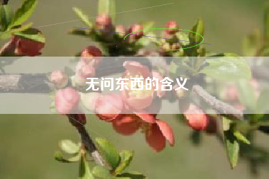 无问东西的含义