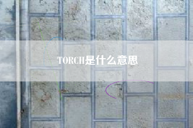 TORCH是什么意思