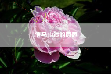 信马由缰的意思