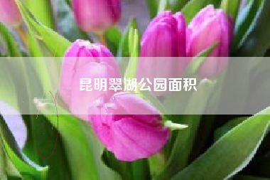 昆明翠湖公园面积