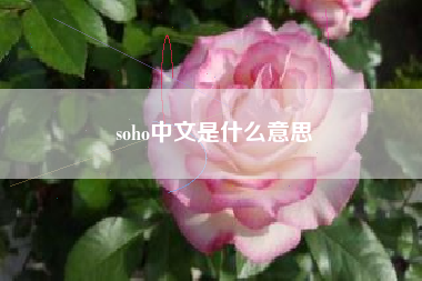 soho中文是什么意思