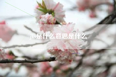 jks是什么意思是什么