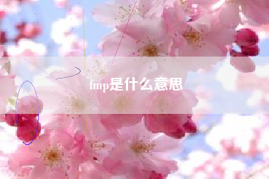 fmp是什么意思