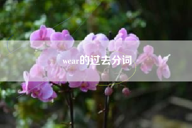 wear的过去分词