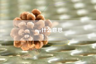 mjc什么意思