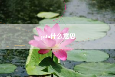 pstn什么意思