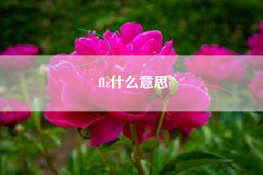 flz什么意思