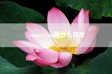 competition是什么意思