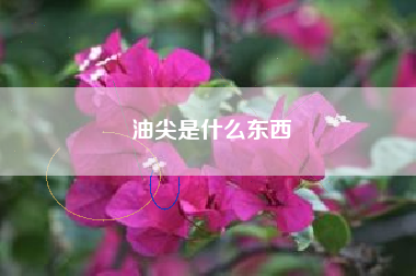 油尖是什么东西