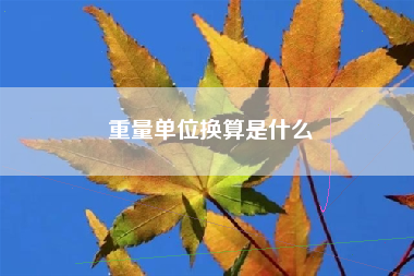 详细阅读:重量单位换算是什么 重量单位换算是什么