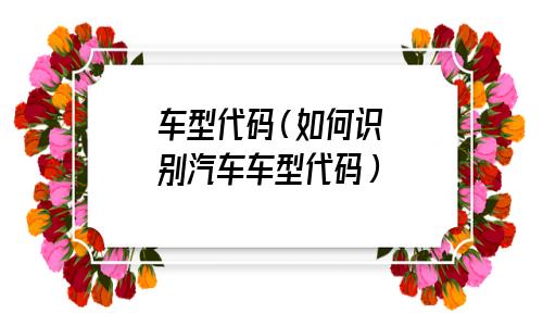 车型代码查询(车型代码是什么意思)