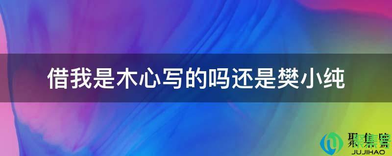 樊小纯借我表达什么(《借我》木心)