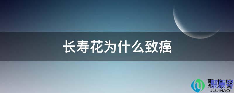 长寿花为什么致癌 新闻(长寿花为什么致癌长寿花怎么修剪)