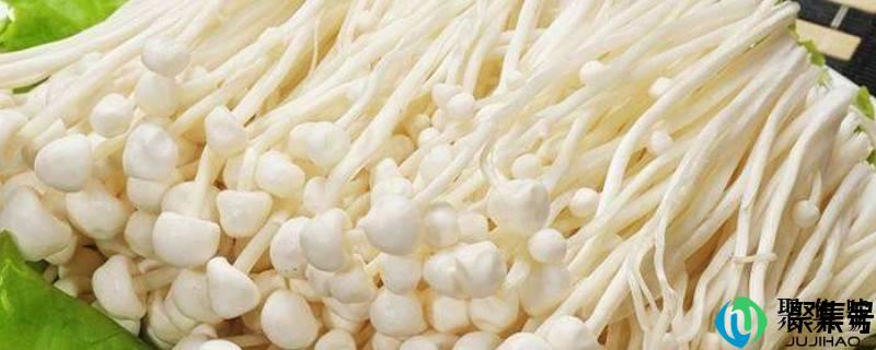 金针菇冷藏半个月还能吃吗(金针菇冰箱放多久就不能吃了)