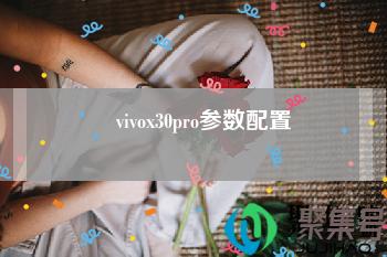 vivox30pro参数配置处理器(vivox30pro参数配置详情介绍)