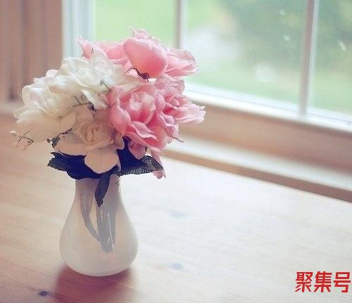 南极洲范围(南极洲范围最广的气候类型)