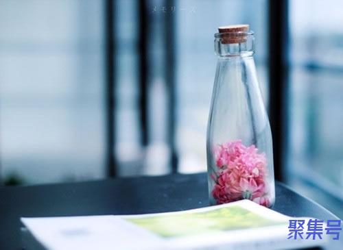 保释金交了还能退吗(保释交的钱会退吗)