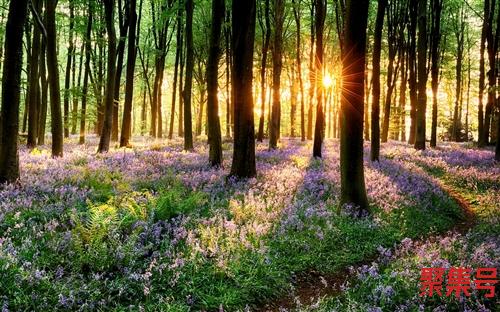 山西城市(山西城市大小排名)