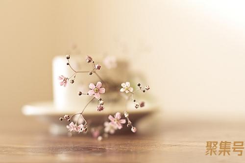 许氏四兄弟(徐氏四兄弟)