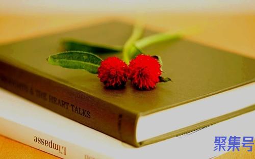 华为录音文件在哪个文件夹(华为录音文件在哪个文件夹电脑)